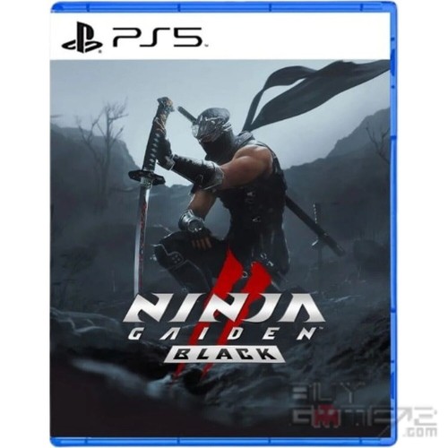 Ninja gaiden nero - ninja, cover)